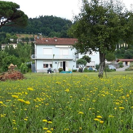 Affittacamere La Foresta Di Sopra Barga Luaran gambar