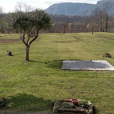 Affittacamere La Foresta Di Sopra Barga Luaran gambar