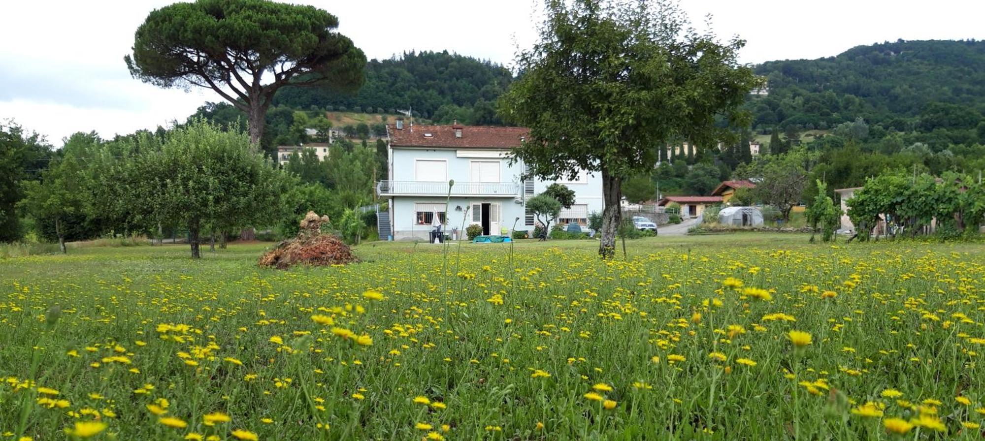 Affittacamere La Foresta Di Sopra Barga Luaran gambar