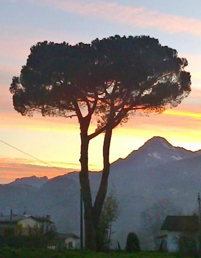 Affittacamere La Foresta Di Sopra Barga Luaran gambar