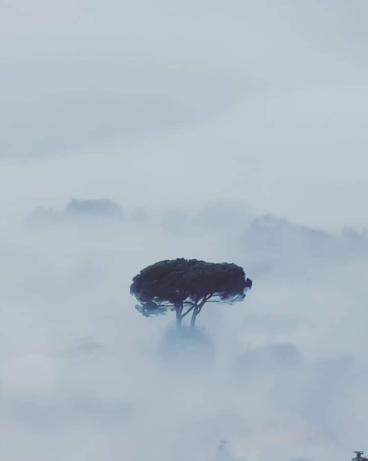 Affittacamere La Foresta Di Sopra Barga Luaran gambar