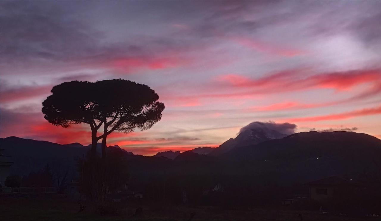 Affittacamere La Foresta Di Sopra Barga Luaran gambar