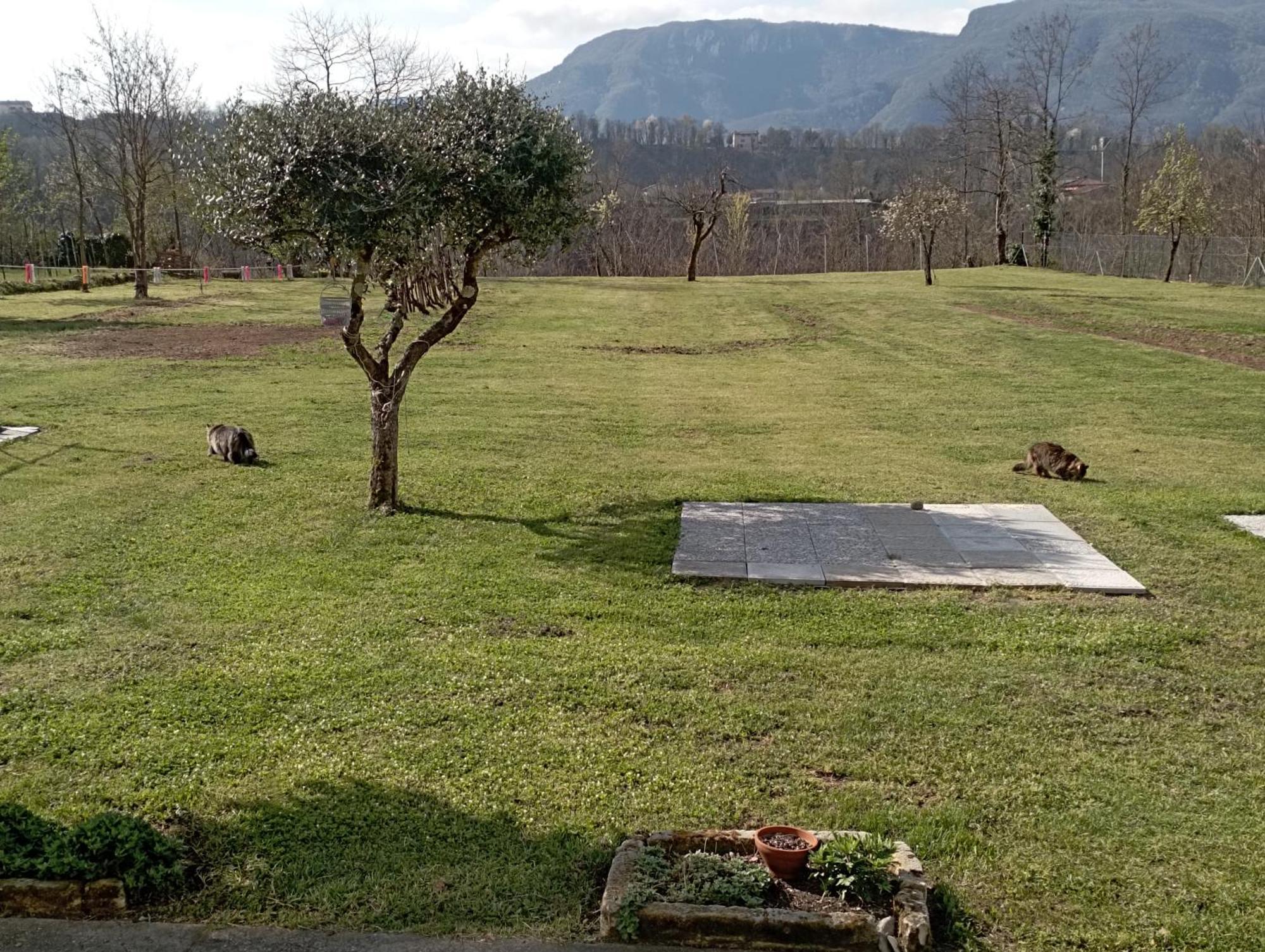 Affittacamere La Foresta Di Sopra Barga Luaran gambar